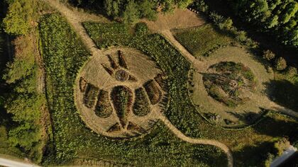 created by dji camera